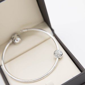 COPY - Pandora Charm Stopper Sparkly Leaves